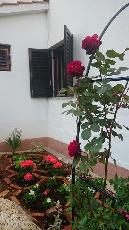 Apartment Devcic Poreč Exteriör bild