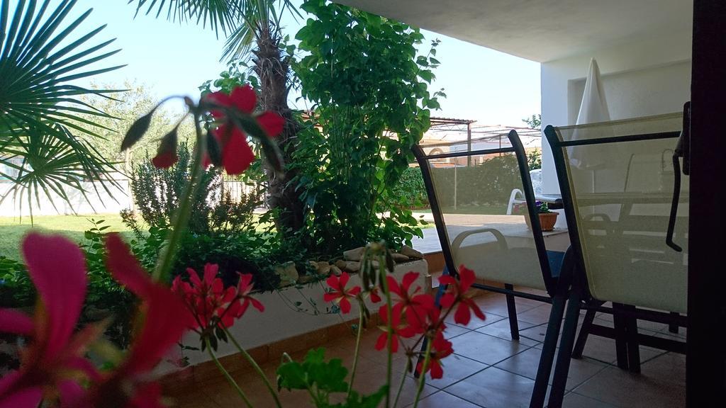 Apartment Devcic Poreč Exteriör bild